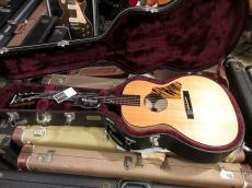 Waterloo (Collings) WL-14X Scissortail_11