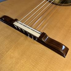Carlos Juan Busquiel（カルロス・フアン・ブスキエル） トーレスモデル 'La Leona'_5
