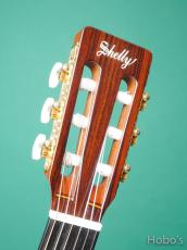 Shelly SY-G PU標準装備 (LR Baggs StagePro Onboard Pickup Element)_3