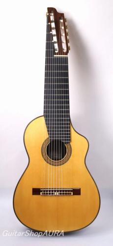 Sakae Ishii　[石井　栄] 11strings