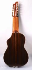 Sakae Ishii　[石井　栄] 11strings_2