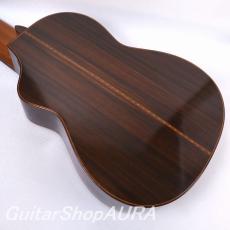 Sakae Ishii　[石井　栄] 11strings_6