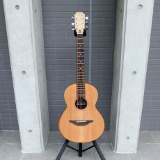 Sheeran by Lowden W-03_2