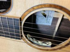 Morris SC-71 with PU　モーリス  SC71_3