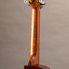 Hozen Green Label Tenor Red Cedar Mexican Cocobolo_8