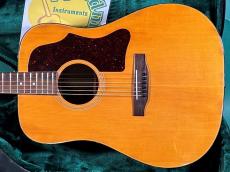 Gibson J-50 DELUXE_2