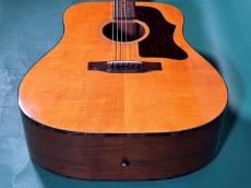 Gibson J-50 DELUXE_11