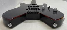 SCHECTER OL-NV-HL / STBK_10