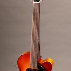 Rozeo Ladybug SM-C/RT Burst_4