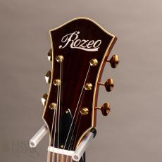 Rozeo Ladybug SM-C/RT Burst_5