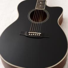 Paul Reed Smith [PRS](ポールリードスミス)、アコースティックギター