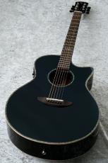 DCT GR-345CE BK 【OUTLET】【48回無金利】_2