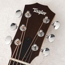 Taylor LTD GS Mini-e Blue Burst 【現物動画あり】【限定モデル】【48回無金利】【オリジナルグッズプレゼント!】_3