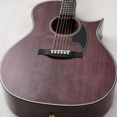 アコースティックギター/エレアコの検索結果1～50件【楽器検索｜Jギター】