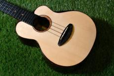 aNueNue UC200 MOON BIRD Concert