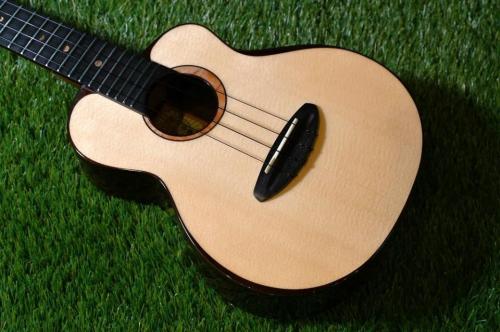 aNueNue UC200 MOON BIRD Concert