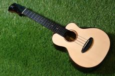 aNueNue UC200 MOON BIRD Concert_3