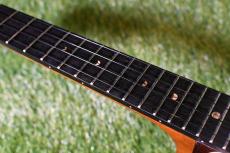 aNueNue UC200 MOON BIRD Concert_7