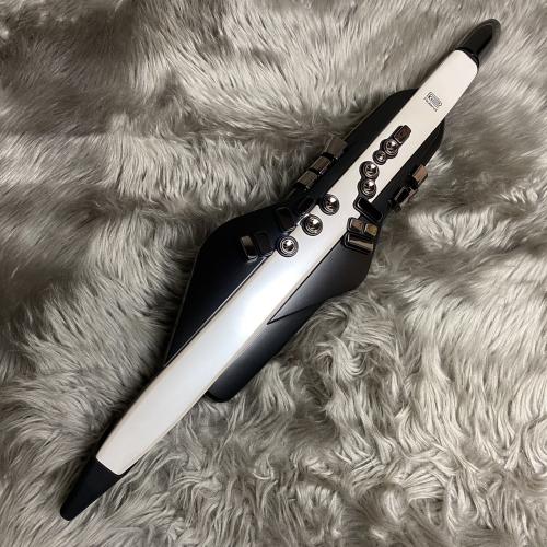 Roland Aerophone AE-20【現物画像】