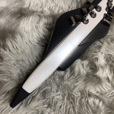 Roland Aerophone AE-20【現物画像】_2