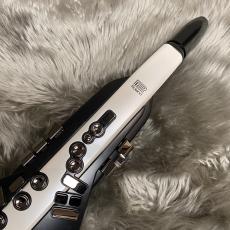 Roland Aerophone AE-20【現物画像】_3