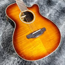 ARIA(アリア)、エレアコの検索結果1～15件【楽器検索｜Jギター】