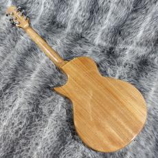 GrassRoots G-AC-45 STR_6