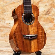 Truth THC-6233SH Concert