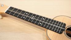 Craft Musica D/STYLE-3 MAPLE #529 _6