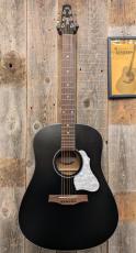 Seagull(Canada) S6 CLASSIC BLACK A/E 【エレアコ】_2