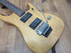 Washburn N2_2