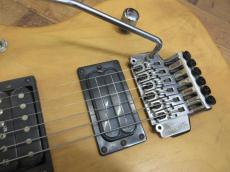 Washburn N2_3