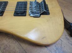 Washburn N2_4