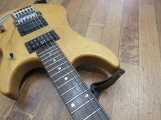 Washburn N2_5