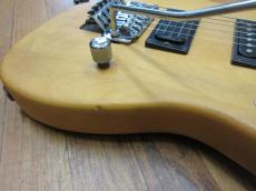 Washburn N2_6
