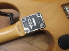 Washburn N2_9