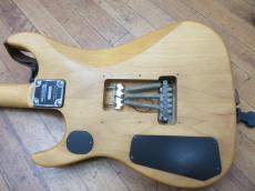 Washburn N2_10
