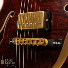 Gibson Chet Atkins Country Gentleman_4