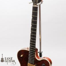 Gibson Chet Atkins Country Gentleman_5