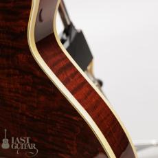 Gibson Chet Atkins Country Gentleman_11