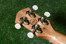 aNueNue UC10 IG Concert_6