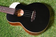aNueNue UC10 LTD BB Concert