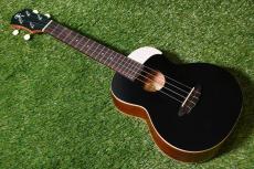 aNueNue UC10 LTD BB Concert_2