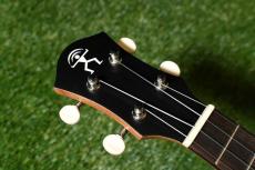 aNueNue UC10 LTD BB Concert_5