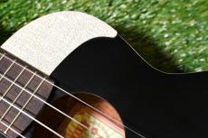 aNueNue UC10 LTD BB Concert_9
