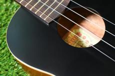 aNueNue UC10 LTD BB Concert_10