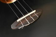 aNueNue UC10 LTD BB Concert_11