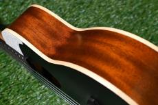 aNueNue UC10 LTD BB Concert_13