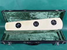 Fender Japan DELUXE-6 _2