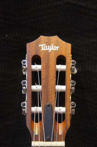 Taylor Academy 12e/Nylon